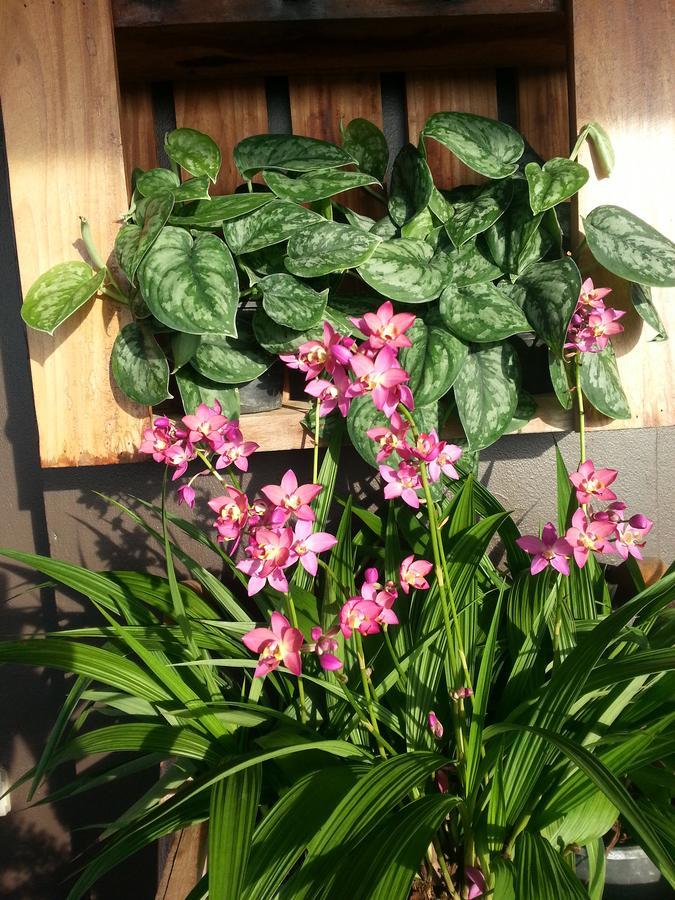 The Brown House Hotel Chachoengsao Exterior foto